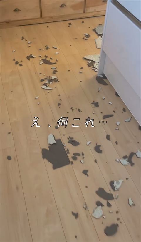 なにこれテロップ