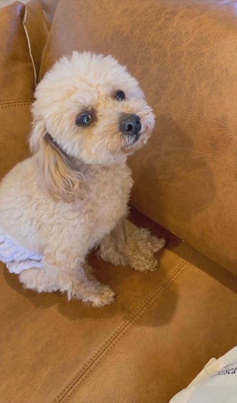 ウルウルしてる横顔