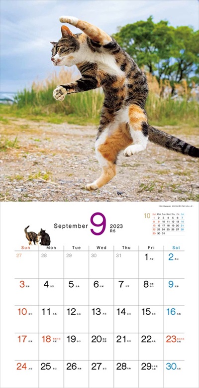 必死すぎるネコカレンダー