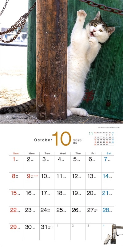 必死すぎるネコカレンダー