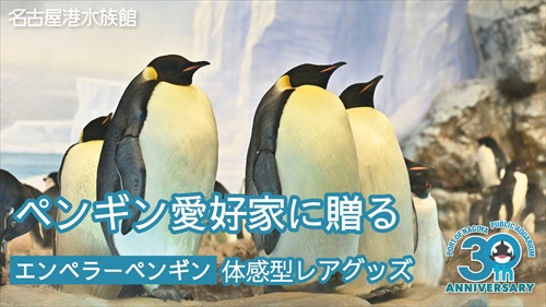 名古屋港水族館ペンギングッズ