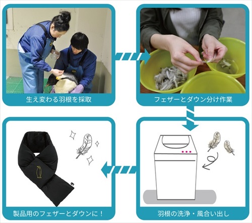 名古屋港水族館ペンギングッズ