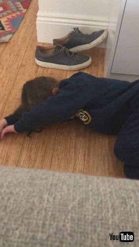 「Kid Has Dramatic Breakdown After Finishing Her Mint Chocolate Cookie Quickly - 1369121」