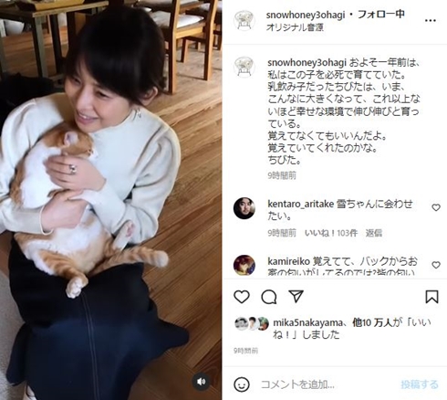 石田ゆり子とちびた