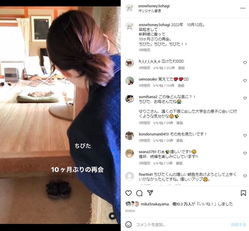 石田ゆり子とちびた