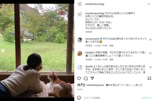 石田ゆり子とちびた