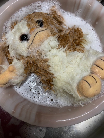 モグワイのぬいぐるみを水洗い