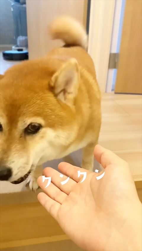 手のひらの横で少し口あけてる