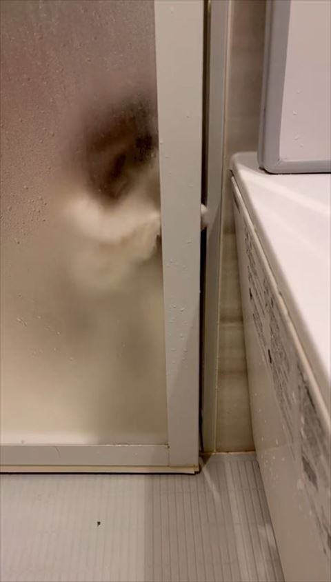 少し手が見える