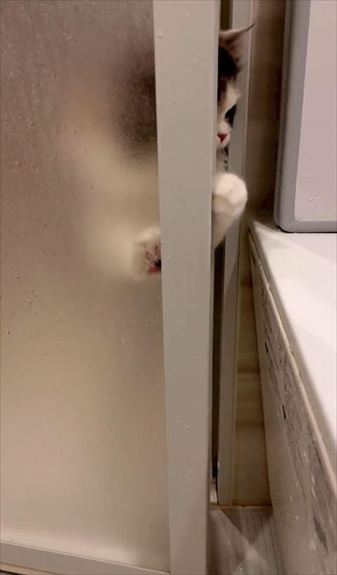 顔と手が少し見える