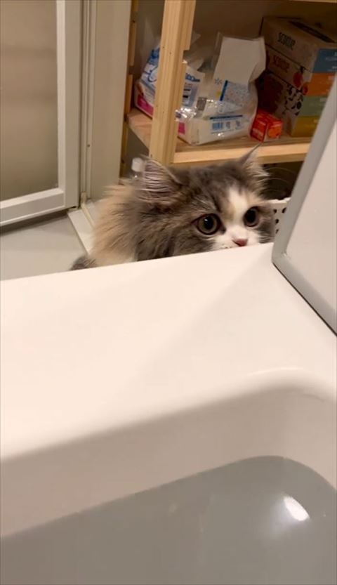 浴槽から顔見える