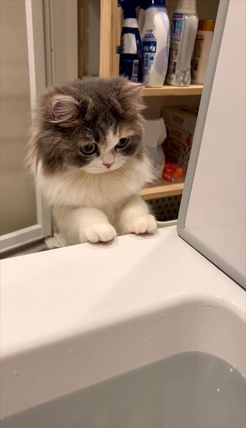 両前足浴槽に添える