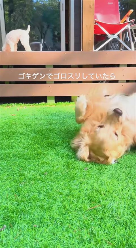 仰向けですりすり