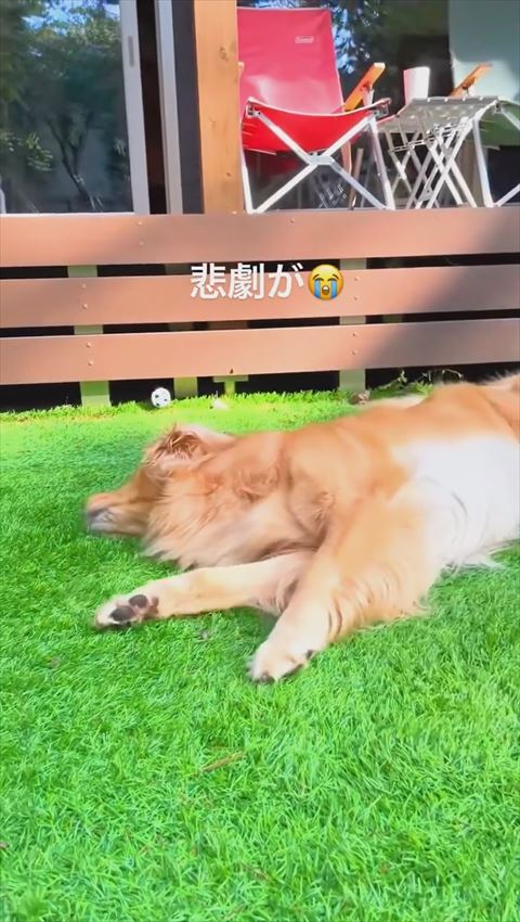 転がっていくボール