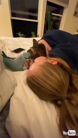 話しかけるインコ