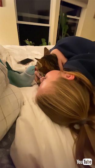 両極端なインコと猫