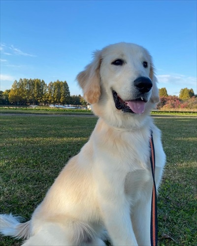 悪さしたあとの顔がかわいい