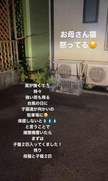 動画冒頭