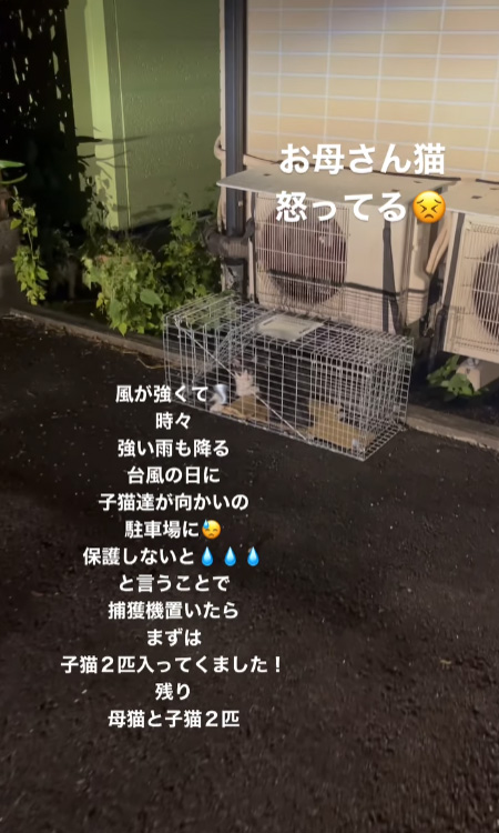 動画冒頭から接近