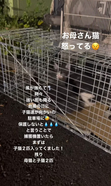 捕獲機に接近