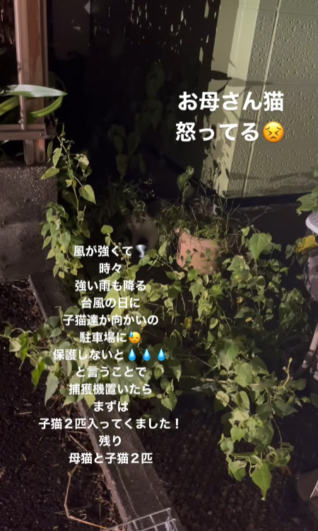 お母さん