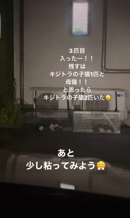 別動画冒頭