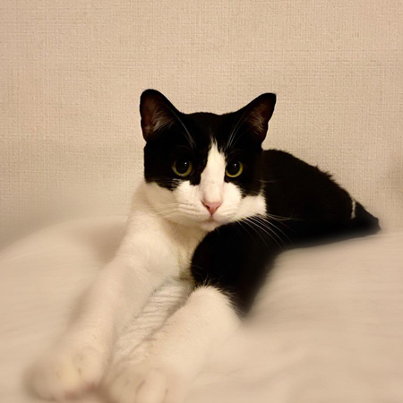 はっちくん