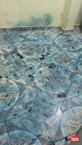 青く染まった犬