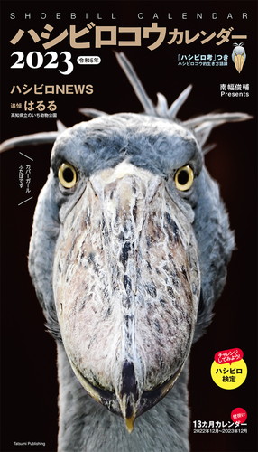 ハシビロコウのふたばちゃん