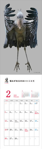 ハシビロ考の言葉も掲載