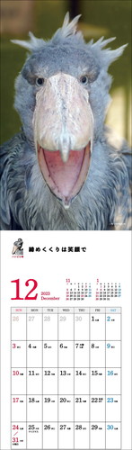 ハシビロコウのしずかちゃん