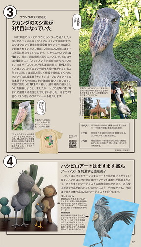 ハシビロコウニュース