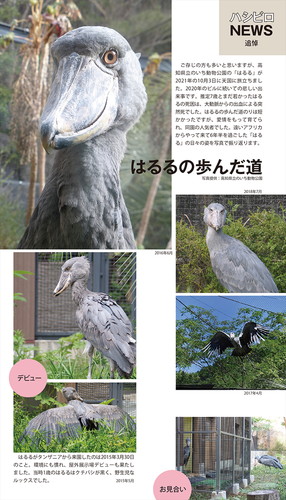 「ハシビロコウカレンダー 2023」