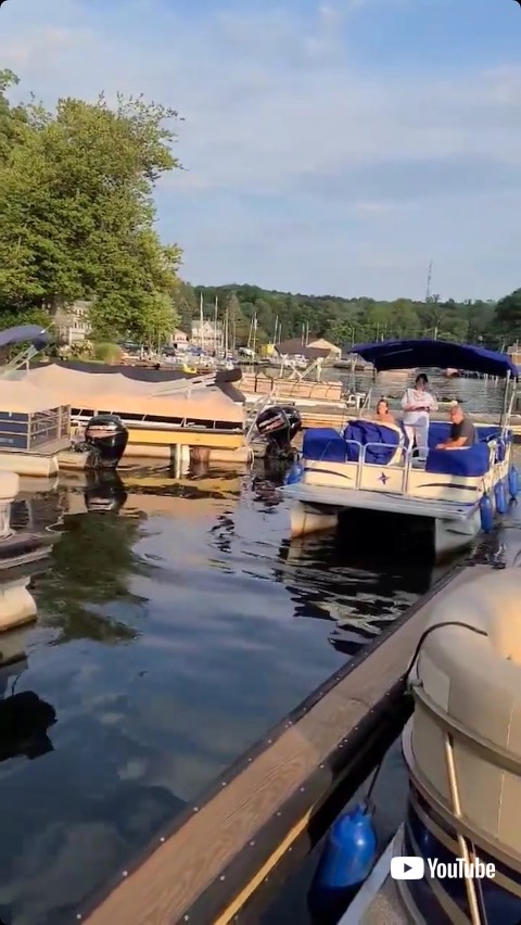 船に乗っている犬