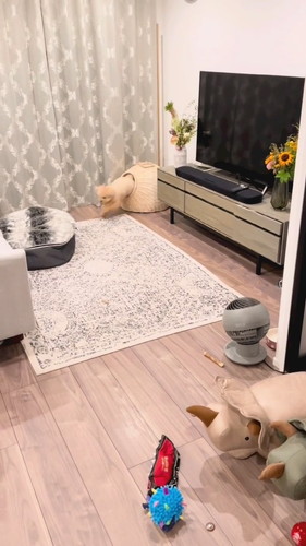 セルフドッグラン