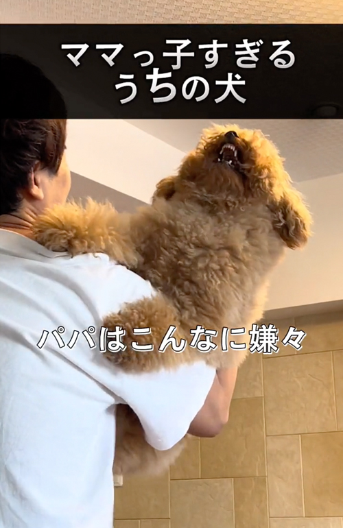 ママっ子なワンコ