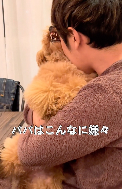 ママっ子なワンコ