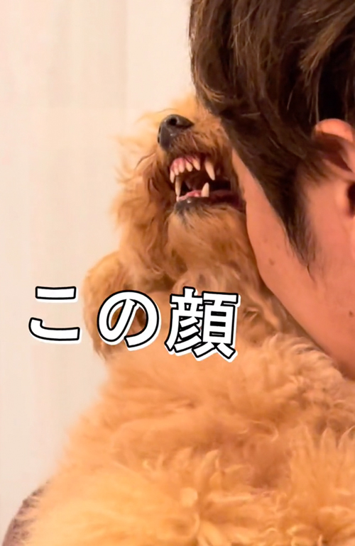 ママっ子なワンコ