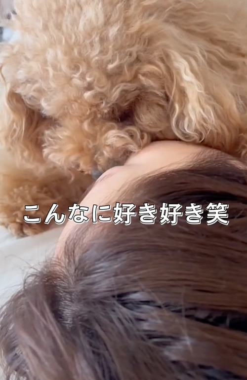 ママっ子なワンコ