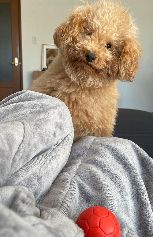 かまって欲しそう