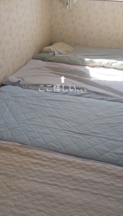 ここ怪しいテロップ