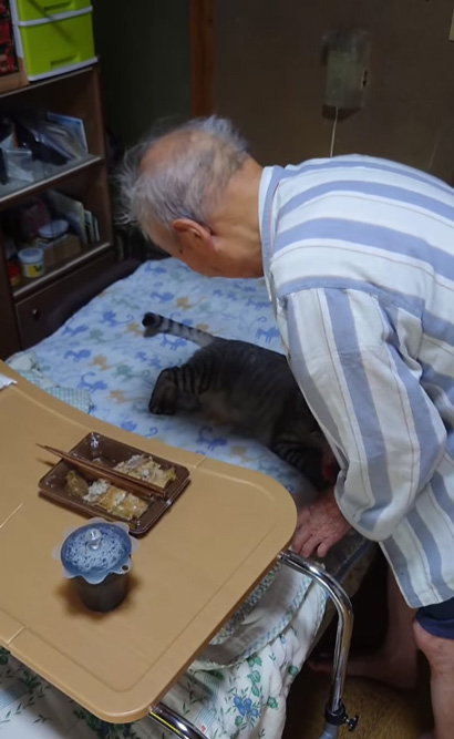 おじいちゃんと猫