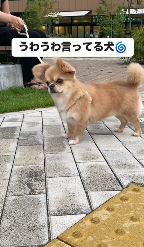 左に首かしげる