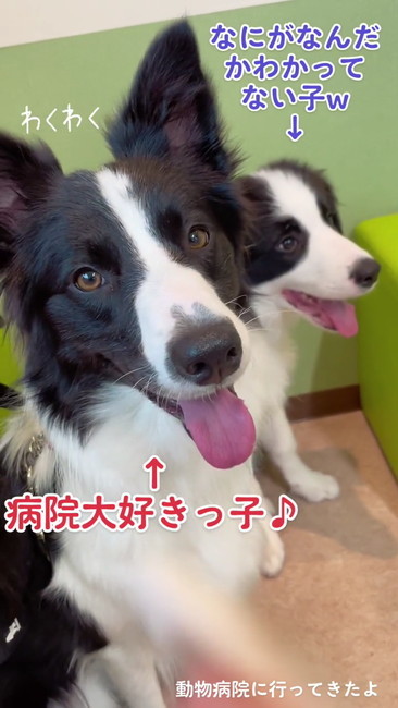 わかってないらうる