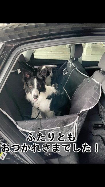 お疲れさまでした