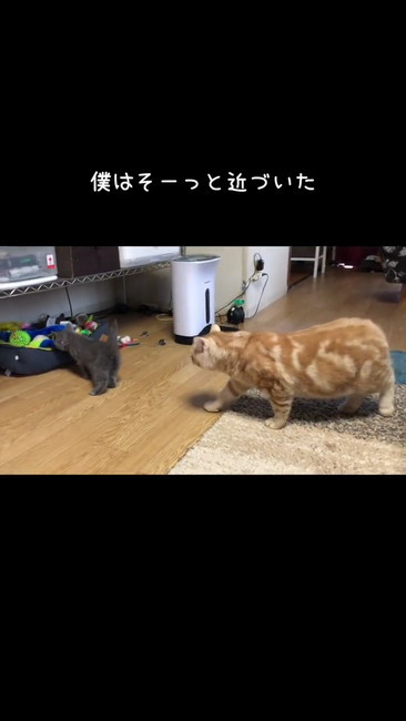 近づく