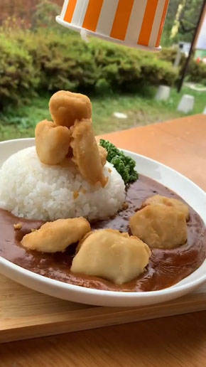 落石カレー