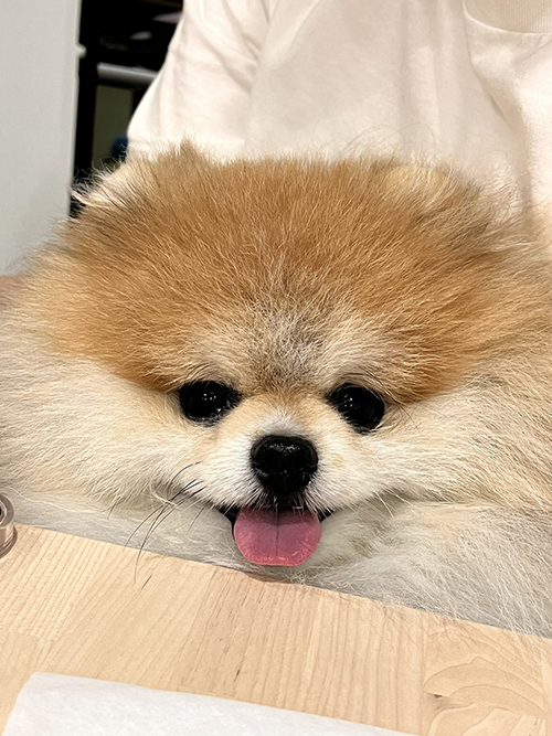 呼ばれて飛び出た