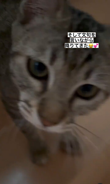 アップなワカメちゃん