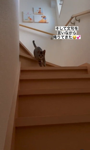 降りてくるワカメちゃん